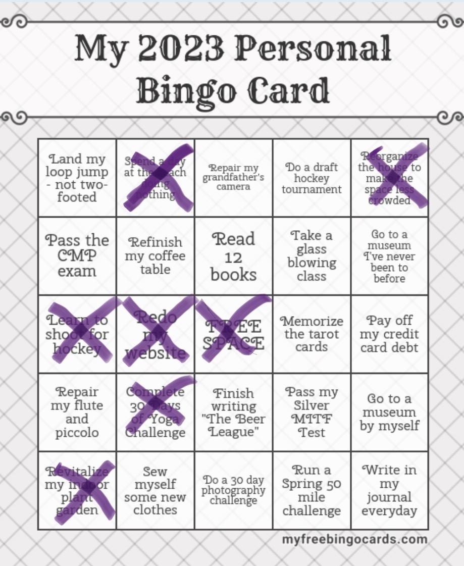 My 2023 BINGO Card Update – Twists and Turns Photography